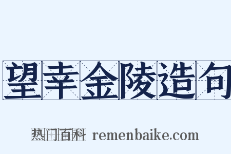 望幸金陵造句是什么意思的图片